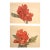 1940 Set of 2 French Mid-Century Arlette Davids Botanicals-Scarlet Mallow (Hibiscus) For Sale