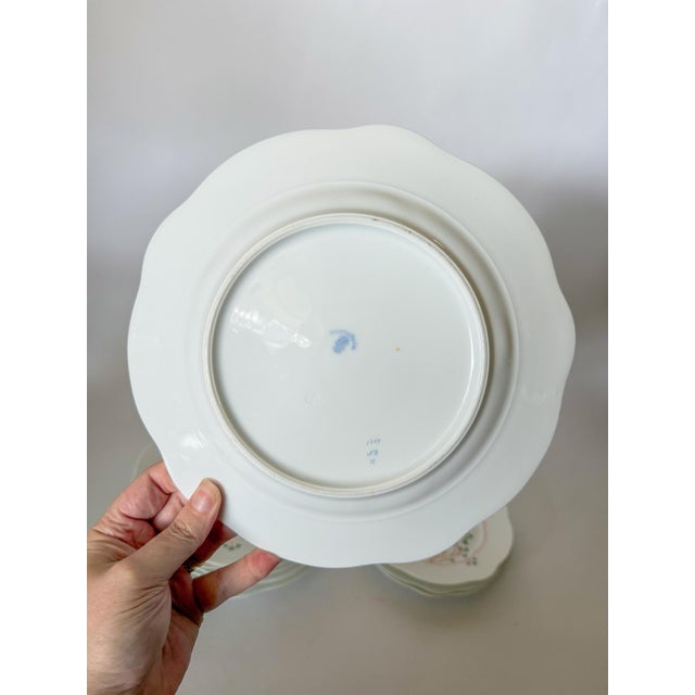 Antique Maidenhair Fern Nymphenburg Porcelain Dinnerware, Hand Painted For Sale - Image 10 of 14