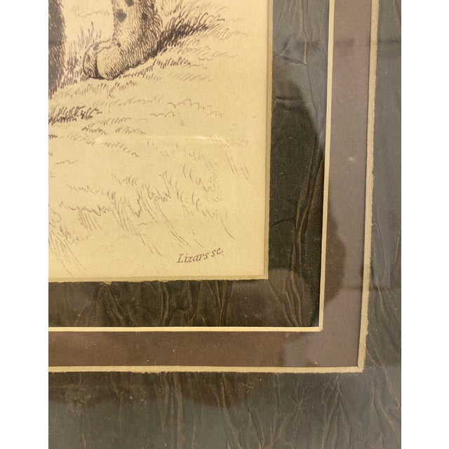 This is a 19th century Victorian framed and matted jaguar from Sir William Jardine’s The Naturalist Library. The artist...