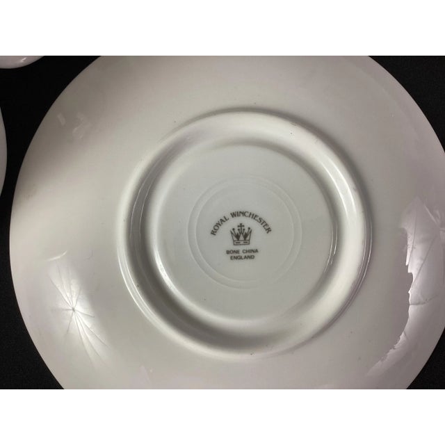 1900 - 1909 Antique Royal Winchester Teacup and Saucer For Sale - Image 5 of 5