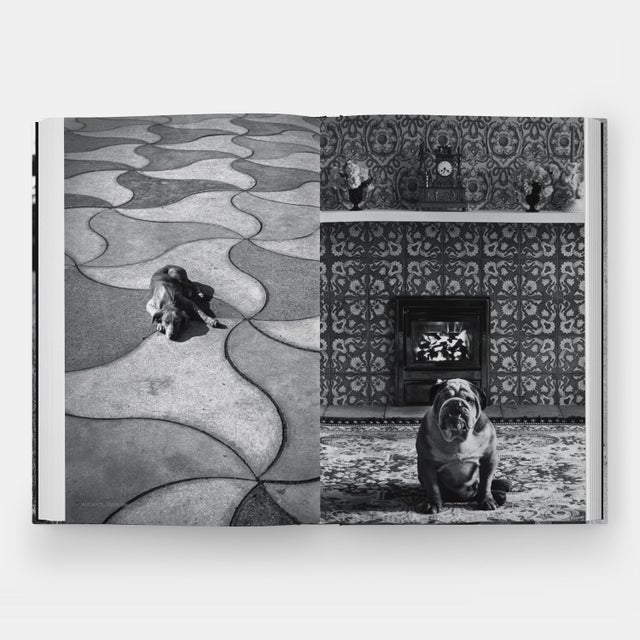 Paper DogDogs Photography Book For Sale - Image 7 of 12