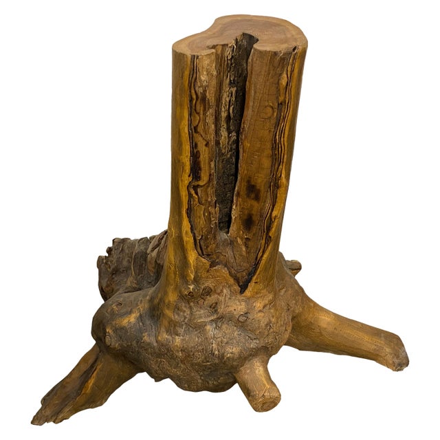 Sculptural reclaimed teak root, sanded and polished. Great with a Lucite or glass top or as a base for a dining table....