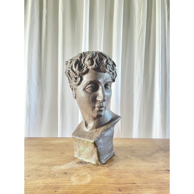 Classical Terracotta Bust, 1960s For Sale - Image 4 of 18