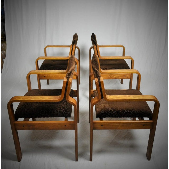 Dining / Office Chairs by Ludvik Volak for Drevopodnik Holesov, 1960s, Set of 4 For Sale - Image 3 of 18