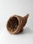 Contemporary Vintage Woven Cornucopia Basket For Sale - Image 3 of 14