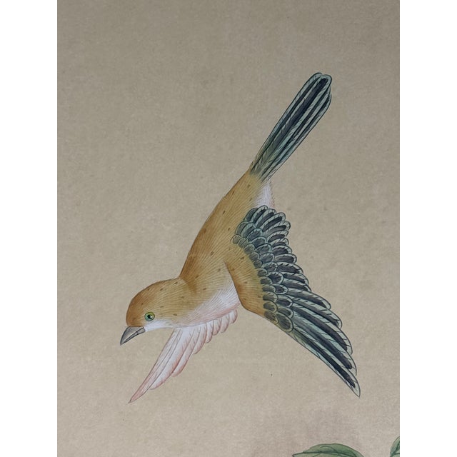 De Gournay Badminton Framed Wall Paper Panels, Set of Three For Sale - Image 11 of 12