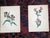 Authentic Antique 19th Century Anne Pratt Botanical Chromolithographs - Set of 12 For Sale In Cincinnati - Image 6 of 10