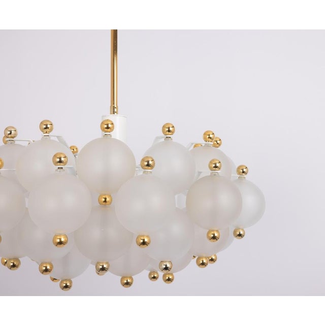 Large Frosted Glass and Brass Chandelier from Kinkeldey, Germany, 1970s For Sale - Image 4 of 18
