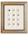 Seashell Study | Set of 12 Original Prints – Coastal Wall Art | Custom Framed | C. 1840 For Sale