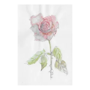 Myriam Cahn Rose Botanical Watercolor