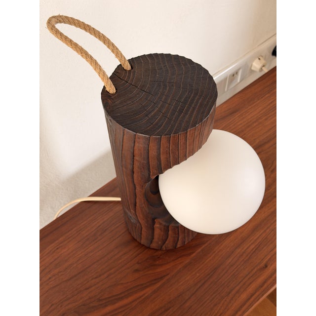 Brown Brutalist Model 16 Wall Lamp in Pine and Opal Glass from Temde Leuchten, 1970s For Sale - Image 8 of 16