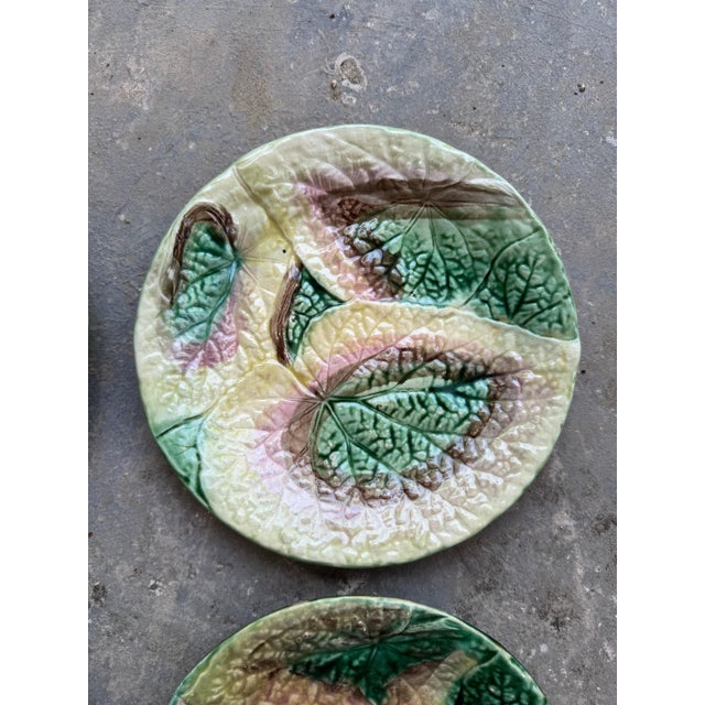 Set of four French begonia majolica leaf dishes. 8.5” dia 49-175