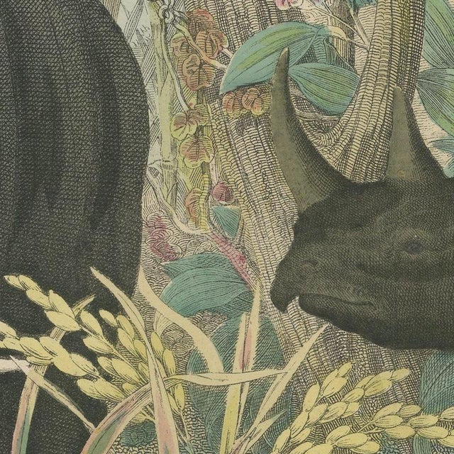 Black Antique Elephant and Rhinoceros Print with Tapir, 1890 For Sale - Image 8 of 12