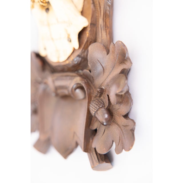 Antique Black Forest Roe Deer Antlers Hunting Trophy 1918 Mount For Sale In Houston - Image 6 of 8