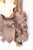 Antique Black Forest Roe Deer Antlers Hunting Trophy 1918 Mount For Sale In Houston - Image 6 of 8