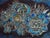Raku Ceramic Centerpiece Plate Dance of the Jellyfish, Italy, 2024 For Sale - Image 6 of 8