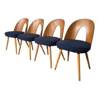 Set of Dining Chairs by Antonin Suman, 1960s For Sale