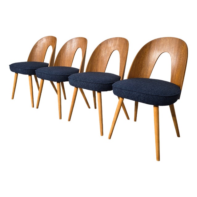 Set of Dining Chairs by Antonin Suman, 1960s For Sale