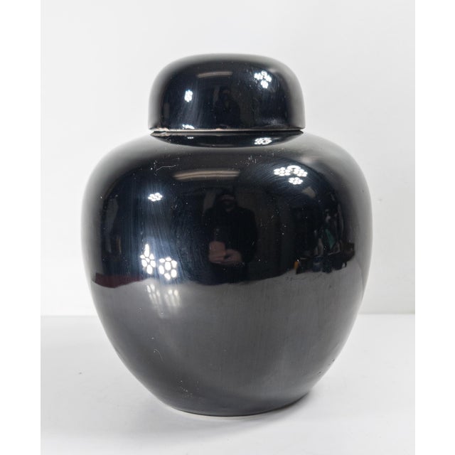 19th Century Chinese Chinoiserie Mirror Black Ginger Jar With Cover For Sale In New York - Image 6 of 18