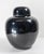 19th Century Chinese Chinoiserie Mirror Black Ginger Jar With Cover For Sale In New York - Image 6 of 18