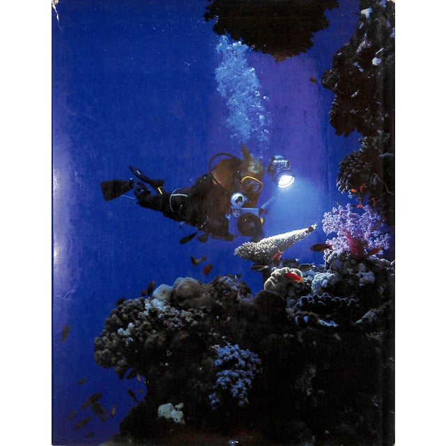 White "Coral Gardens" 1978 Riefenstahl, Leni For Sale - Image 8 of 8