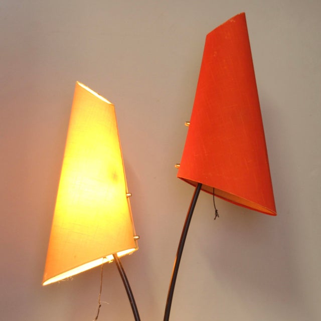 Mid-Century Modern German Floor Lamp with Two Shades, 1950s For Sale - Image 6 of 13
