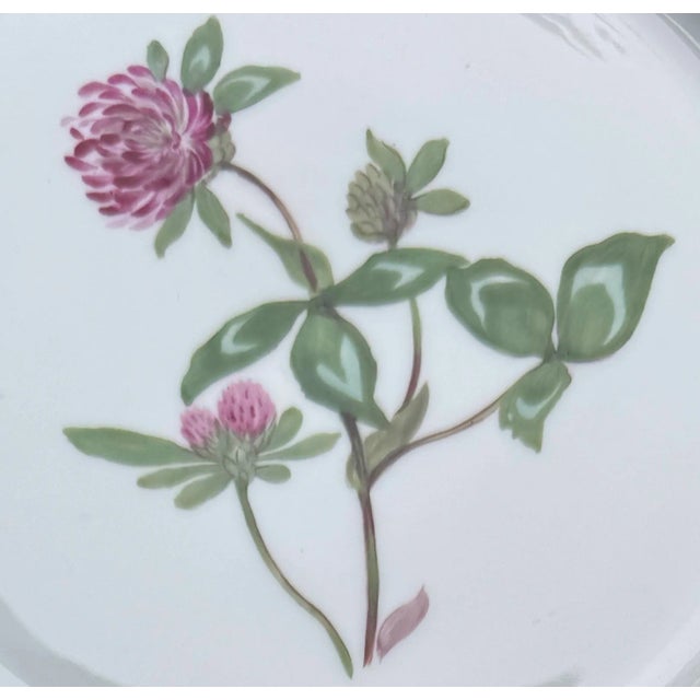 This set of four vintage porcelain plates by Nymphenburg showcases the artistry of one of Germany’s premier porcelain...