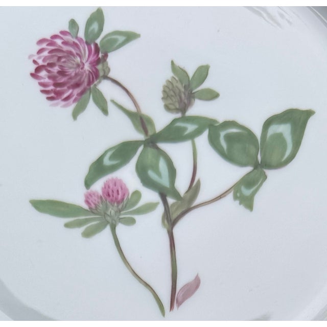 This set of four vintage porcelain plates by Nymphenburg showcases the artistry of one of Germany’s premier porcelain...