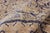 Antique Turkish Sivas Rug, 10'03 X 15'07 For Sale In Dallas - Image 6 of 10