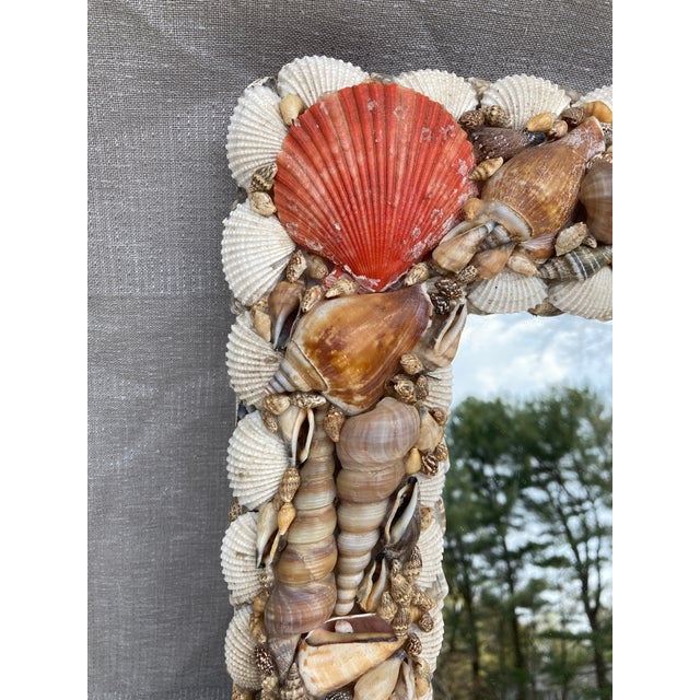Tan Small Vintage Seashell Wall Mirror For Sale - Image 8 of 10