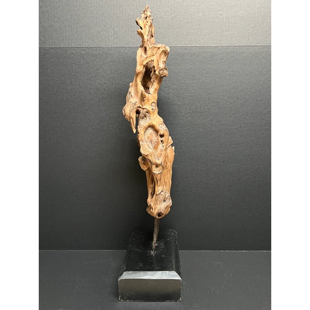 Vintage Natural Abstract Driftwood Art Sculpture on Wooden Base For Sale - Image 9 of 12