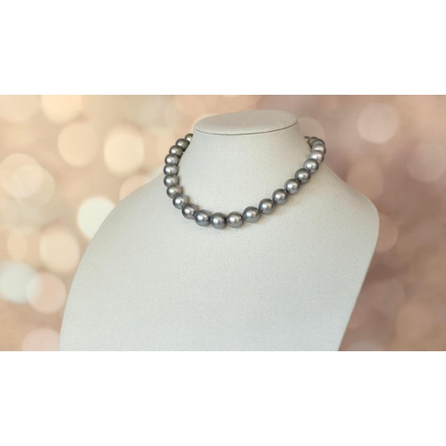 Tahitian Black Pearl Necklace, South Sea Pearls, 14k White Gold Clasp, 17" For Sale In Cleveland - Image 6 of 14