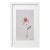 Framed Organic Modern Minimalist Flower Study | Botanical Painting | Herbarium Wall Art For Sale
