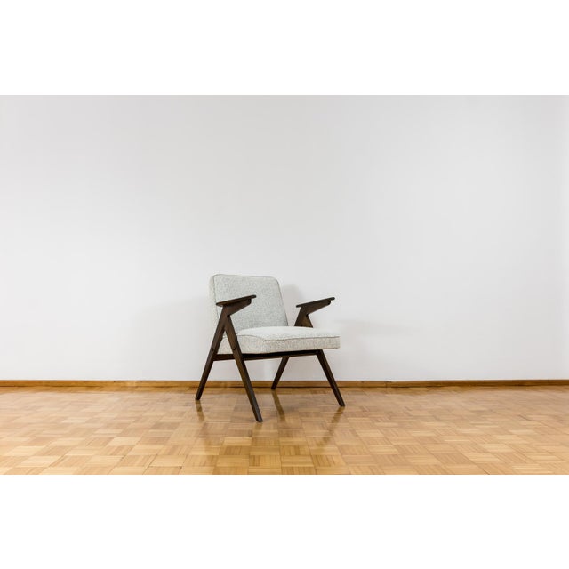 Model 300 177 Bunny Armchair, Poland, 1960s For Sale - Image 13 of 15