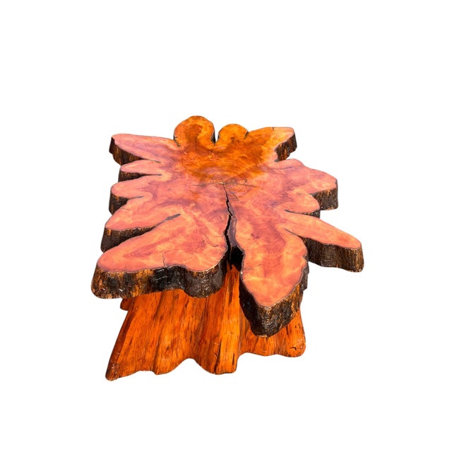 Beautiful Vintage Cypress Live Edge Tree Stump Center Coffee Table For Sale - Image 12 of 15