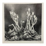 1946 Victoria Hutson Huntley Indian Pipes Botanical Lithograph For Sale