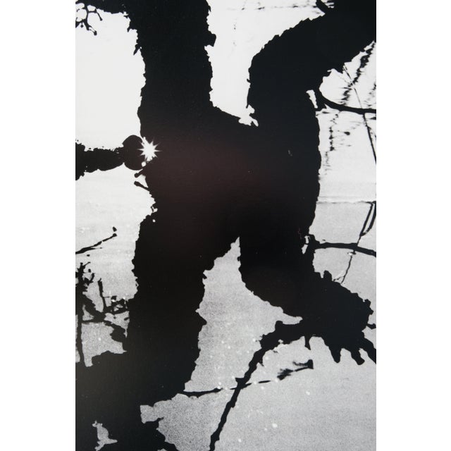 Modern Lucien Clergue, Le Marais d'Arles, Etching For Sale - Image 3 of 6