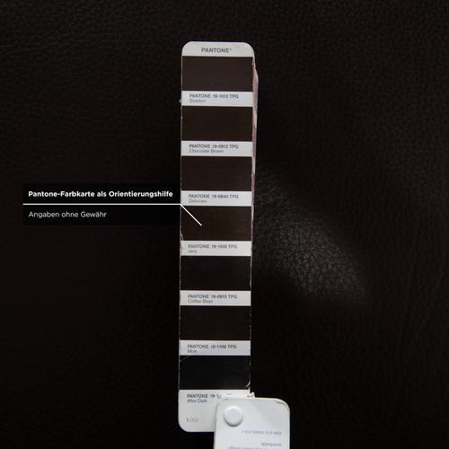 Leather Alba Three-Seater Sofa from Brühl For Sale - Image 13 of 18