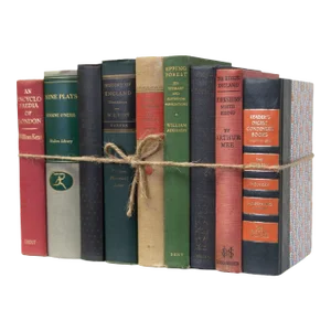 Decorative Books - Vintage British History Book Bundle - 1 foot of Books