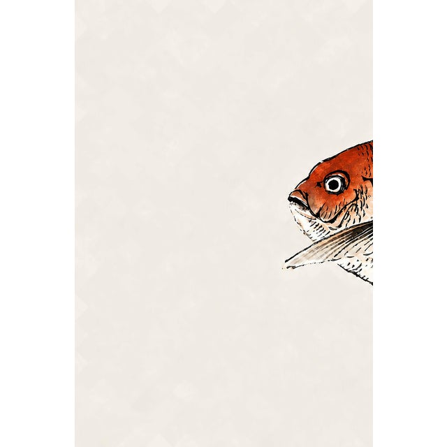 A striking example of traditional Japanese woodblock art, this vintage art print reproduction features Tai (Red Seabream)...