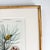 Antique "Conifères" Framed Botanical Etched Illustration, 1800's French Pine Tree Art For Sale - Image 14 of 14