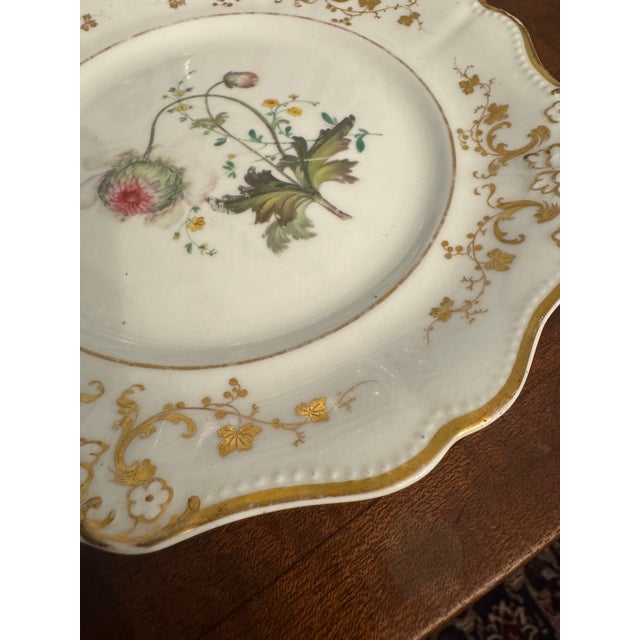 Early 19th Century Early 19th Century English Botanical Porcelain Plate For Sale - Image 5 of 9