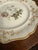 Early 19th Century Early 19th Century English Botanical Porcelain Plate For Sale - Image 5 of 9