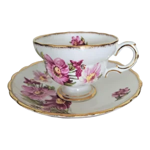 Rosina Tea Cup and Saucer Set Adorable Daisies Circa 1948-1952