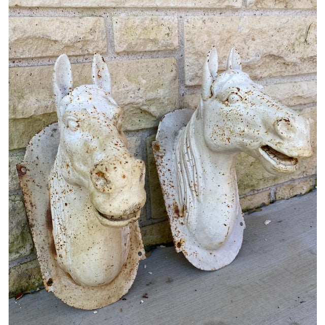 Late 19th Century Antique Cast Iron Horse Head Bust For Sale - Image 5 of 13