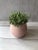 2020s Flor Atacama Scented Candle For Sale - Image 5 of 6