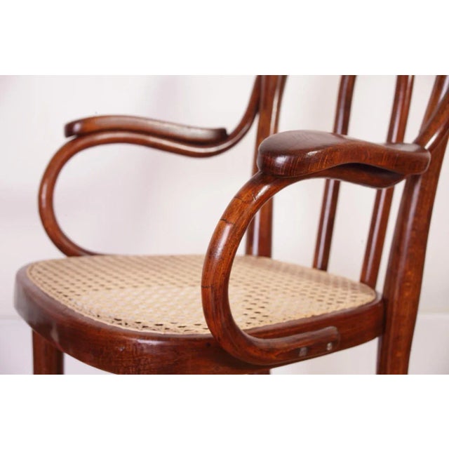 Vintage Children's Chair Model Z 2F From Thonet, 1930s For Sale - Image 16 of 18