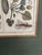 Green W. King Ambler Antique Botanical Engravings, Set of Three For Sale - Image 8 of 12