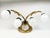 Ivory Metal and Brass Four-Light Wall Lamps, 1950s, Set of 4 For Sale - Image 15 of 18