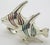 Silver Vintage Italian Handmade Genuine Sterling Silver Enameled Tropical Fish Figurines by Ottaviani of Rome, 1980s Solid 925 Silver Marine Pair For Sale - Image 8 of 14